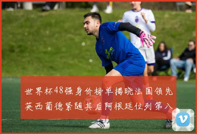 世界杯48强身价榜单揭晓法国领先英西葡德紧随其后阿根廷位列第八